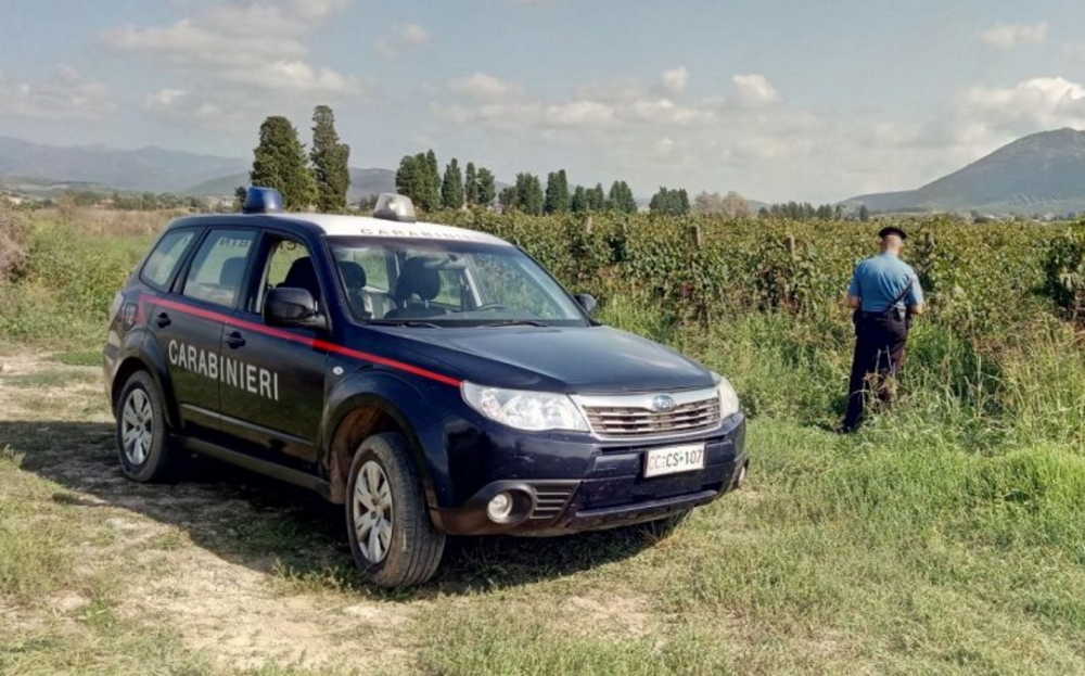 carabinieri braccianti caporalato