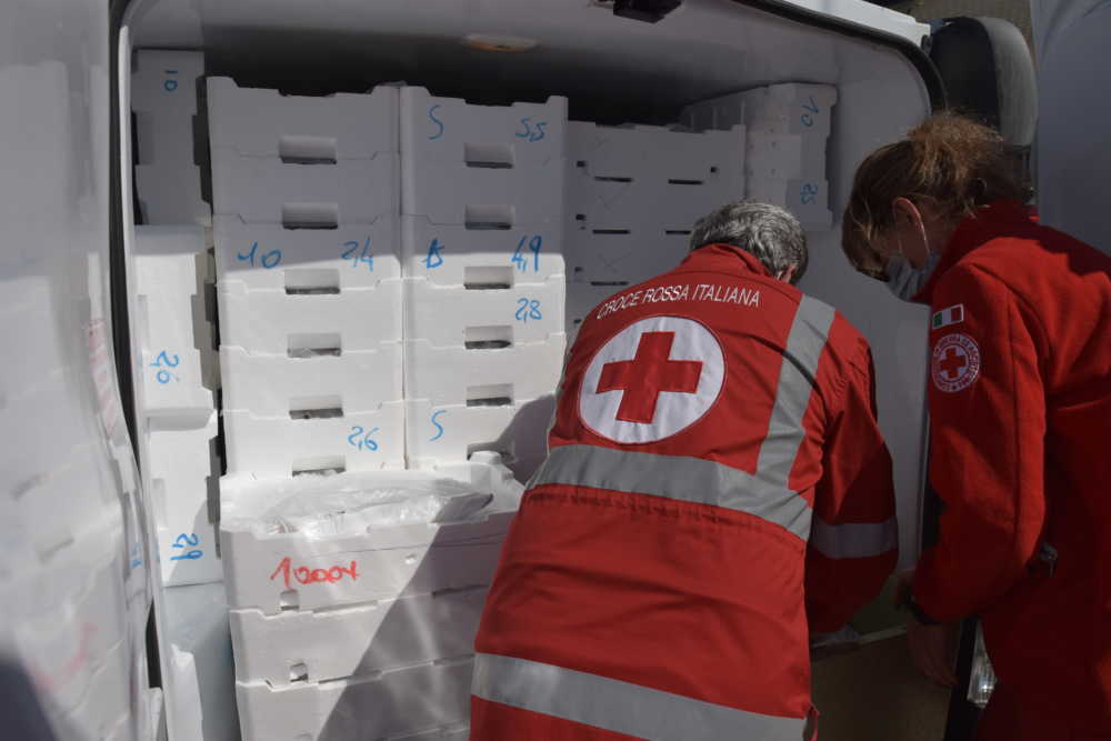 cri croce rossa civitavecchia cri croce rossa civitavecchia