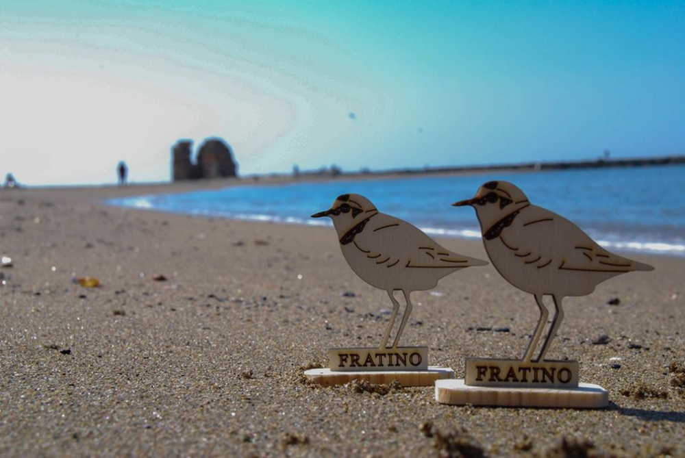 fratino torre flavia