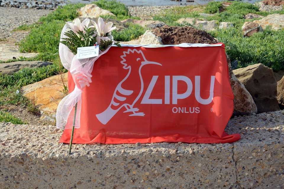 lipu civitavecchia uccelli