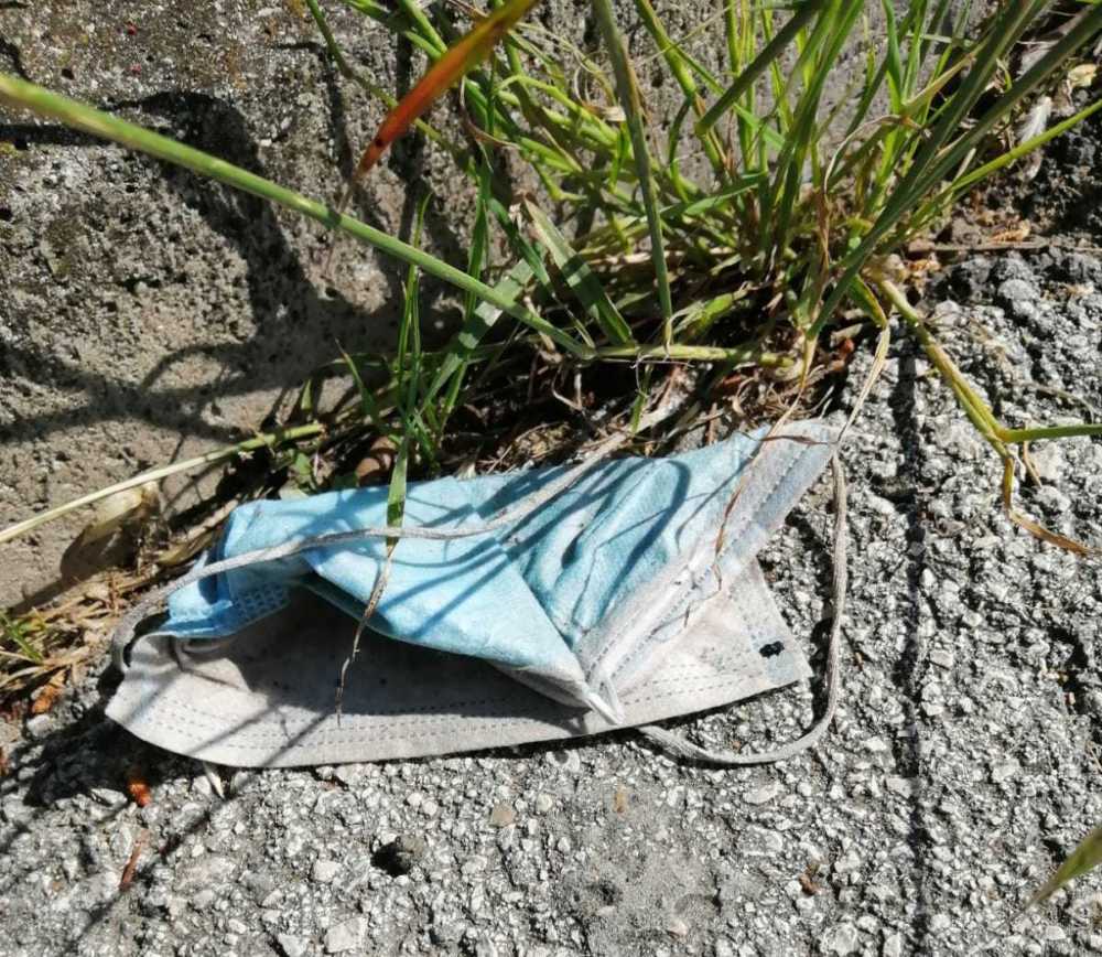 mascherina gettata terra civitavecchia