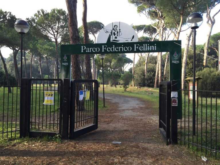 pineta fregene pineta fregene