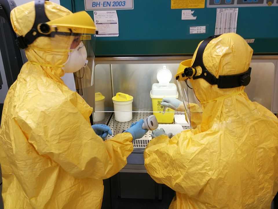 tamponi asl personale coronavirus ospedale