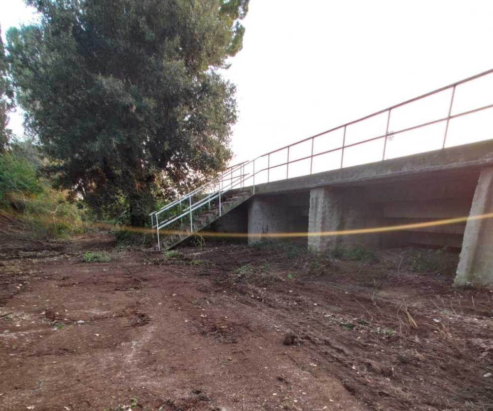 tribuna galli san paolo