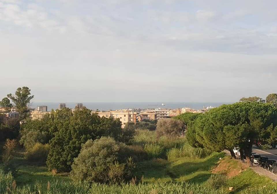 Usi Civici, Porrello: “Molti punti da chiarire per Civitavecchia”