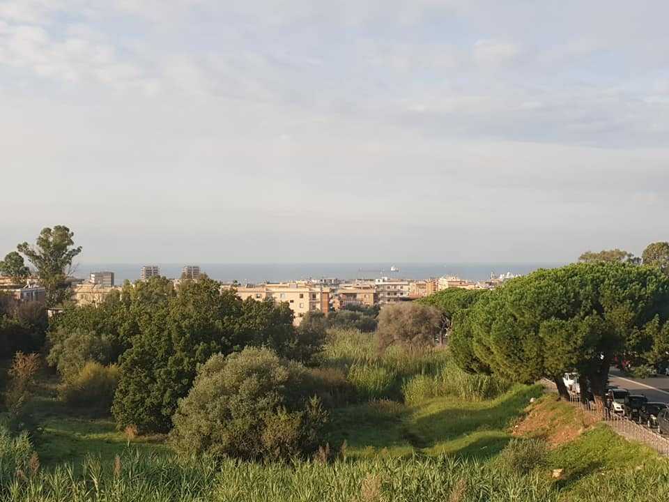 usi civici civitavecchia 5 usi civici civitavecchia 5