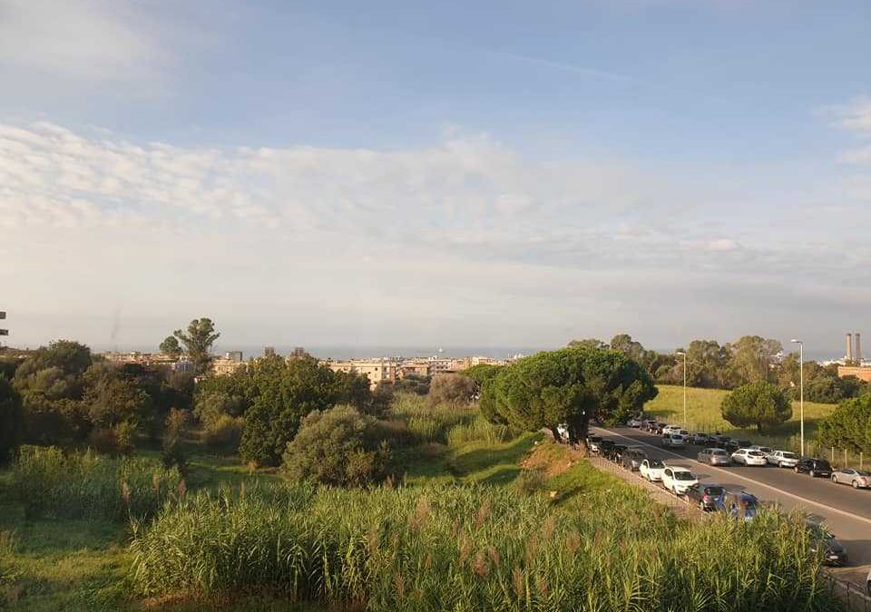 UniAgraria Civitavecchia, i dissidenti: “Sugli Usi Civici il presidente De Paolis resta attaccato la poltrona”