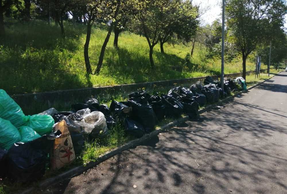 Cerveteri, il Cdz Valcanneto attacca Pascucci: “Non siamo tutti zozzoni”
