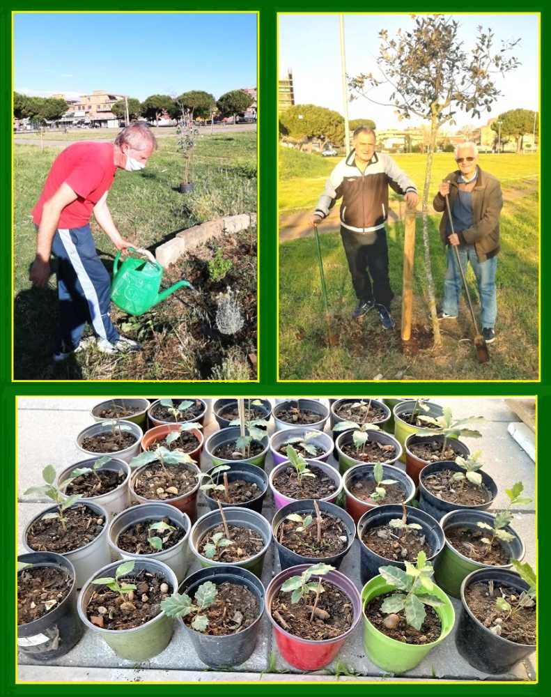 Ladispoli Giardini Marcia 2020 Articolo 1