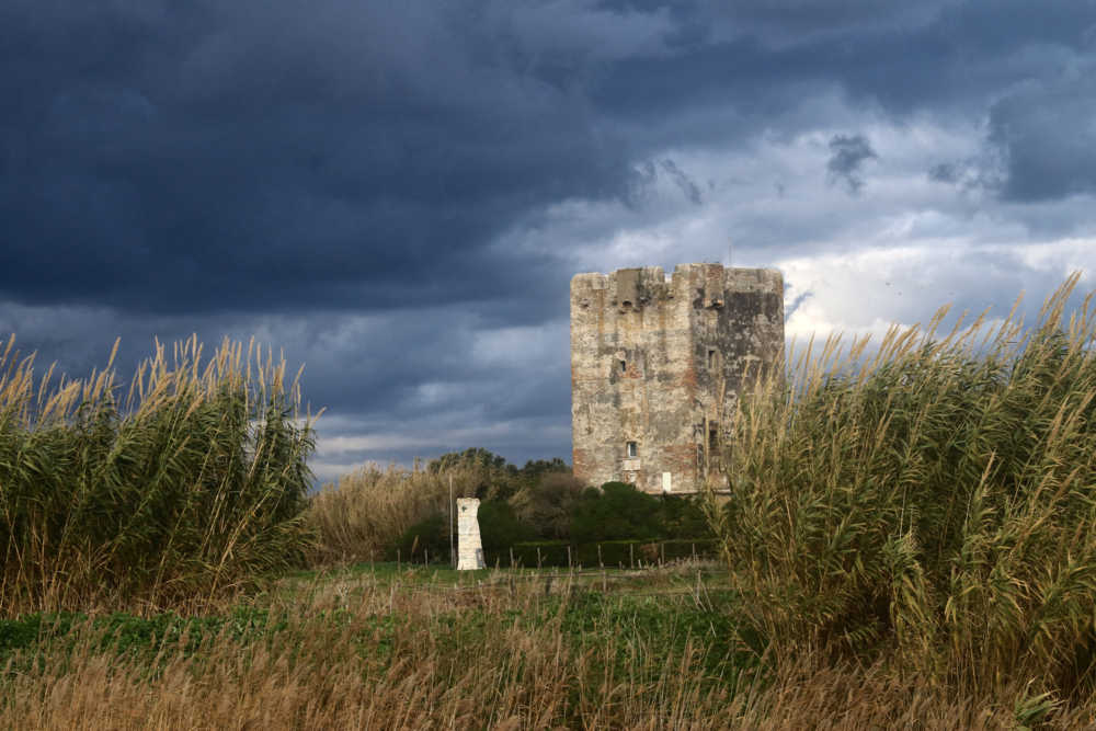 Torre Perla di Palidoro