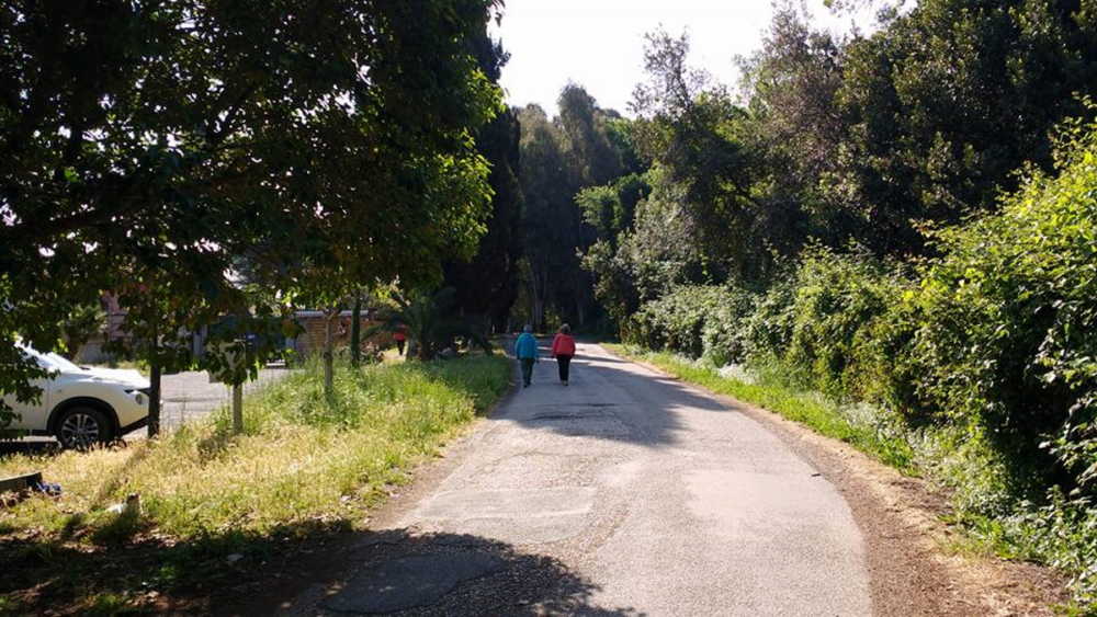 bosco palo 3 passeggiata