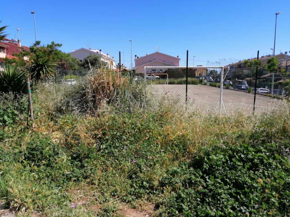 campo calcetto civitavecchia boccelle degrado erba alta
