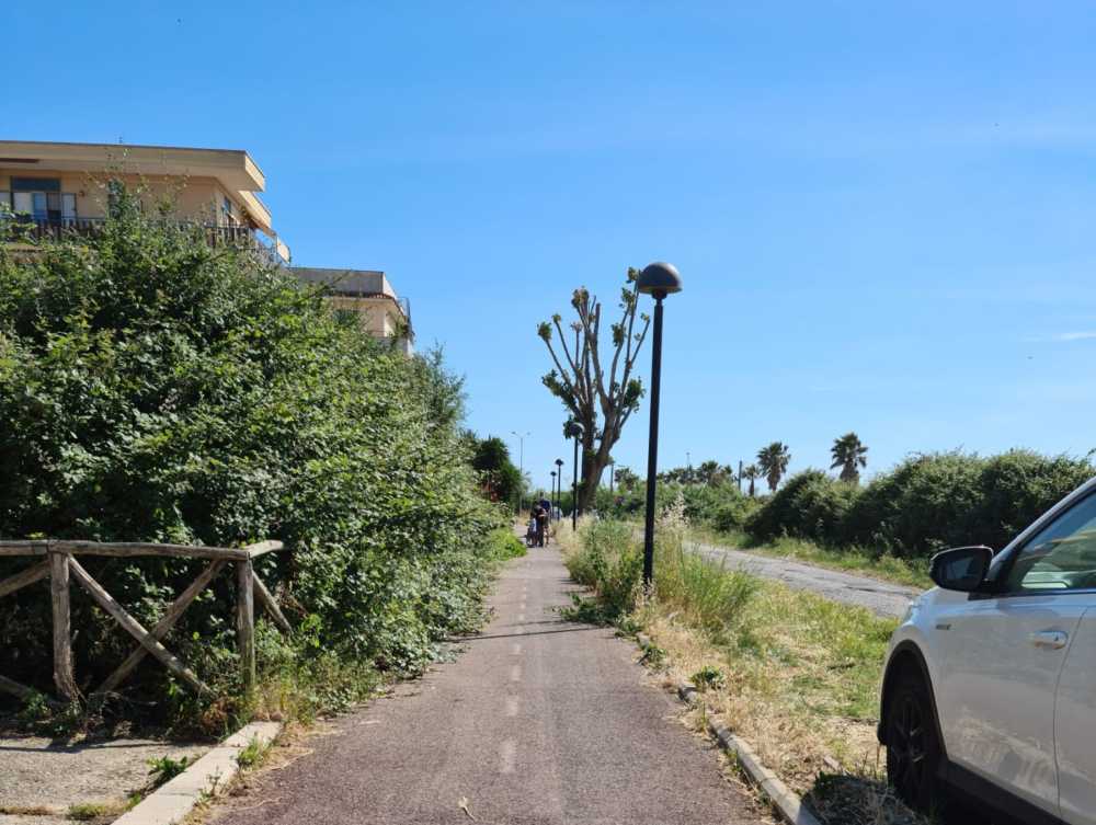 ciclabili ladispoli erbacce (1) ciclabili ladispoli erbacce (1)