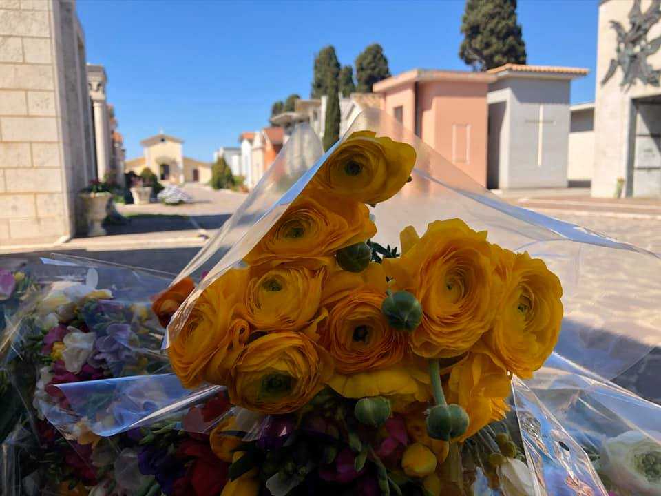 cimitero ladispoli fiori