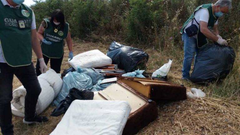 discarica ladispoli ecozoofile fare ambiente (1)