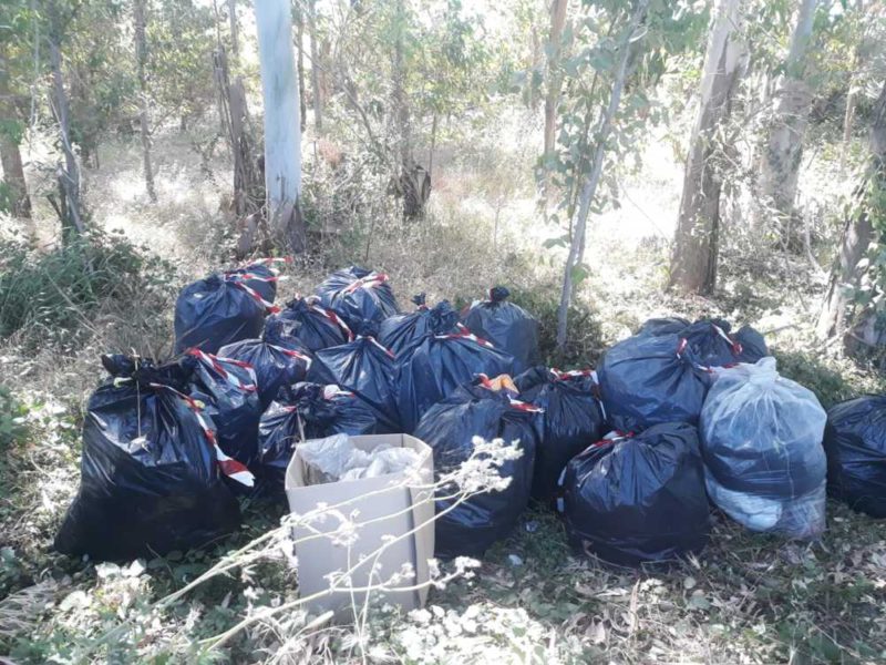 fareambiente ladispoli sacchi via delle casermette (2)