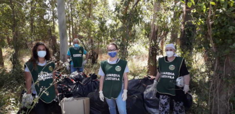 fareambiente ladispoli sacchi via delle casermette (2)