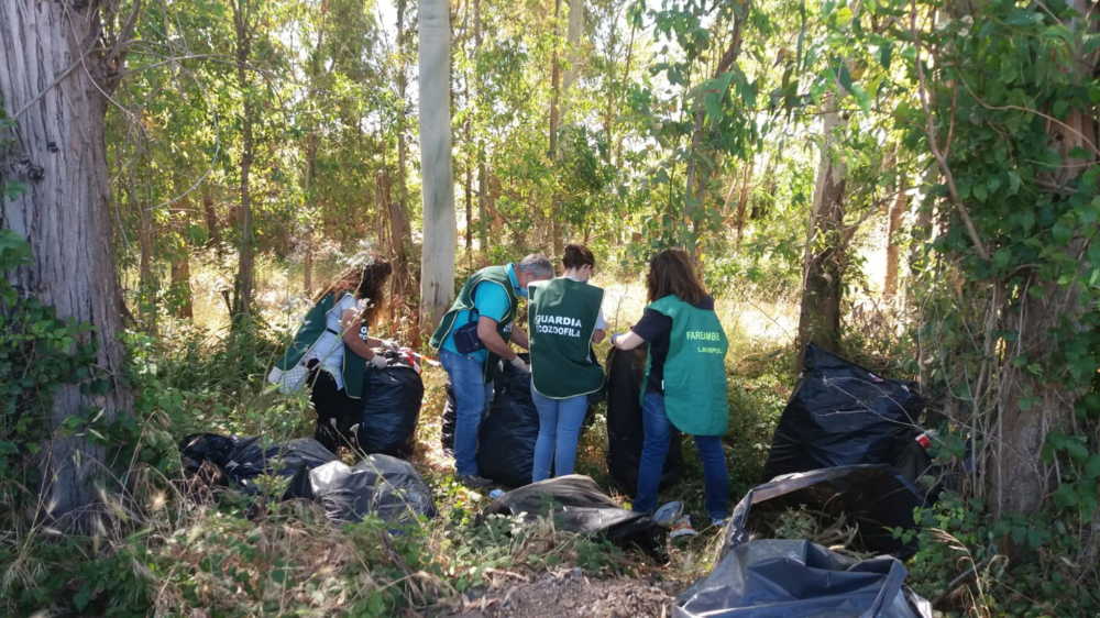 fareambiente ladispoli sacchi via delle casermette (2)