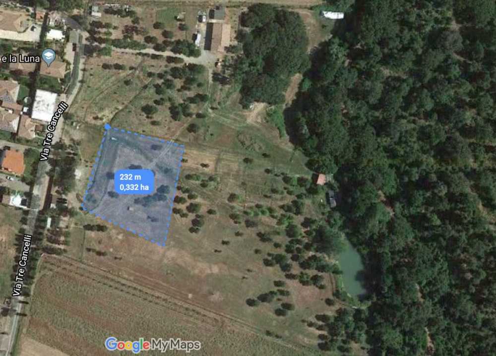 lotto adotta un albero cerveteri belinda patta lotto adotta un albero cerveteri belinda patta
