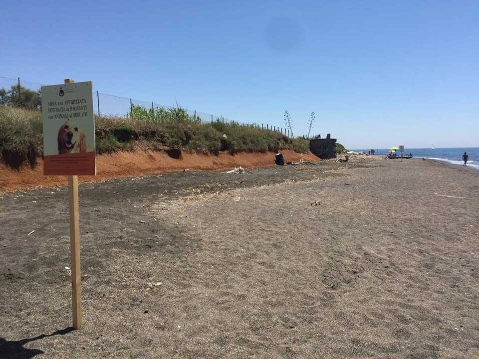 no cani spiaggia ladispoli 1 no cani spiaggia ladispoli