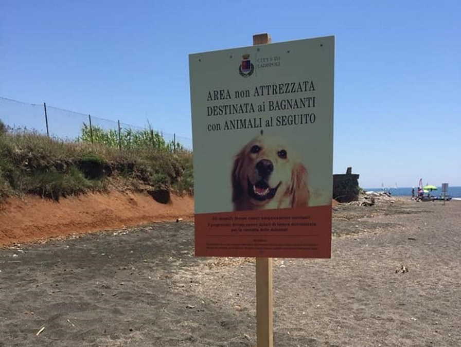 no cani spiaggia ladispoli