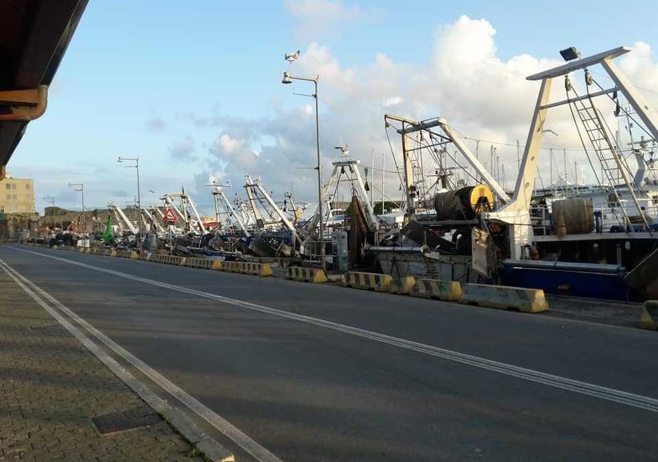 La Diocesi Civitavecchia Tarquinia celebra la Domenica del mare