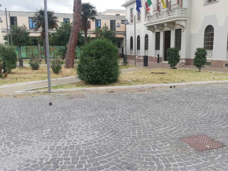 pincio aiuola decespugliata