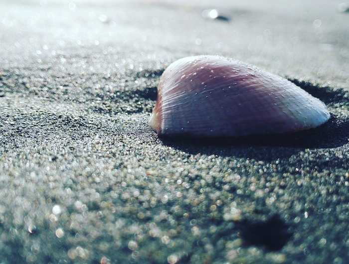 sea-2879094_1280 sea-2879094_1280