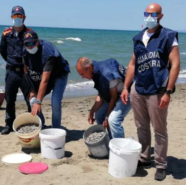 sequestro telline capitaneria porto fiumicino guardia costiera