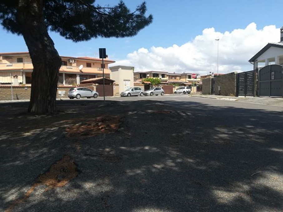 via montecarlo cerreto ladispoli radici via montecarlo cerreto ladispoli radici