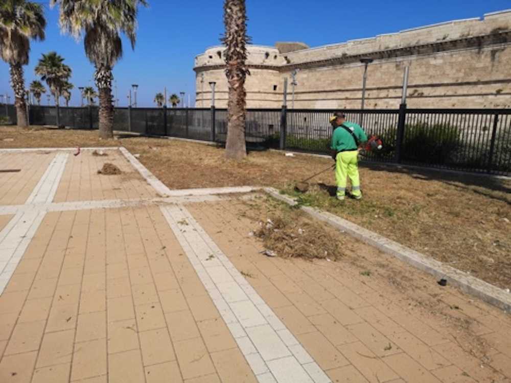 manutenzione Verde civitavecchia manutenzione Verde civitavecchia