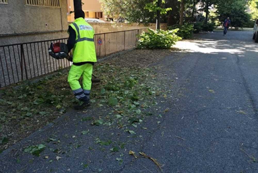 civitavecchia sfalcio
