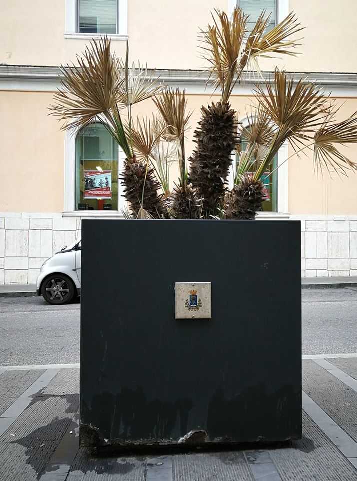 aiuola corso centocelle civitavecchia