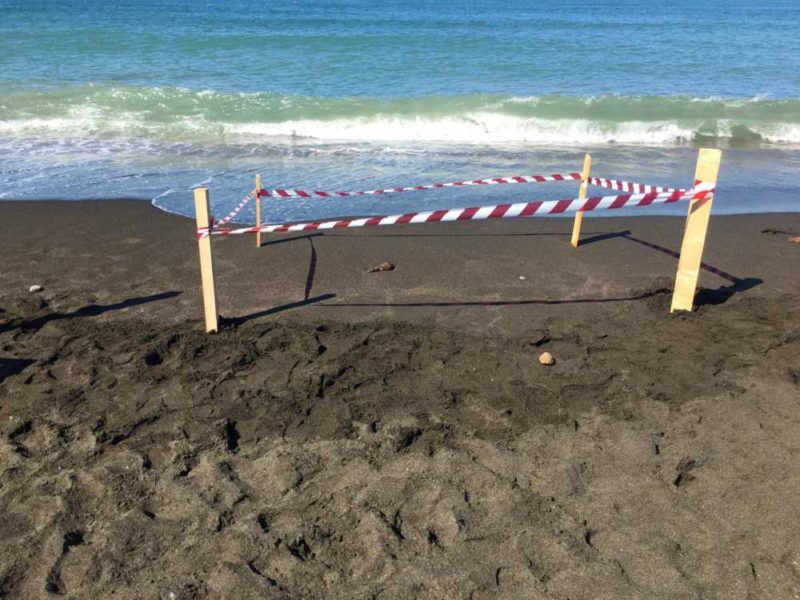 bomba ordigno ladispoli capitaneria guardia costiera 1