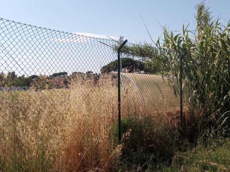 campo rugby cerveteri