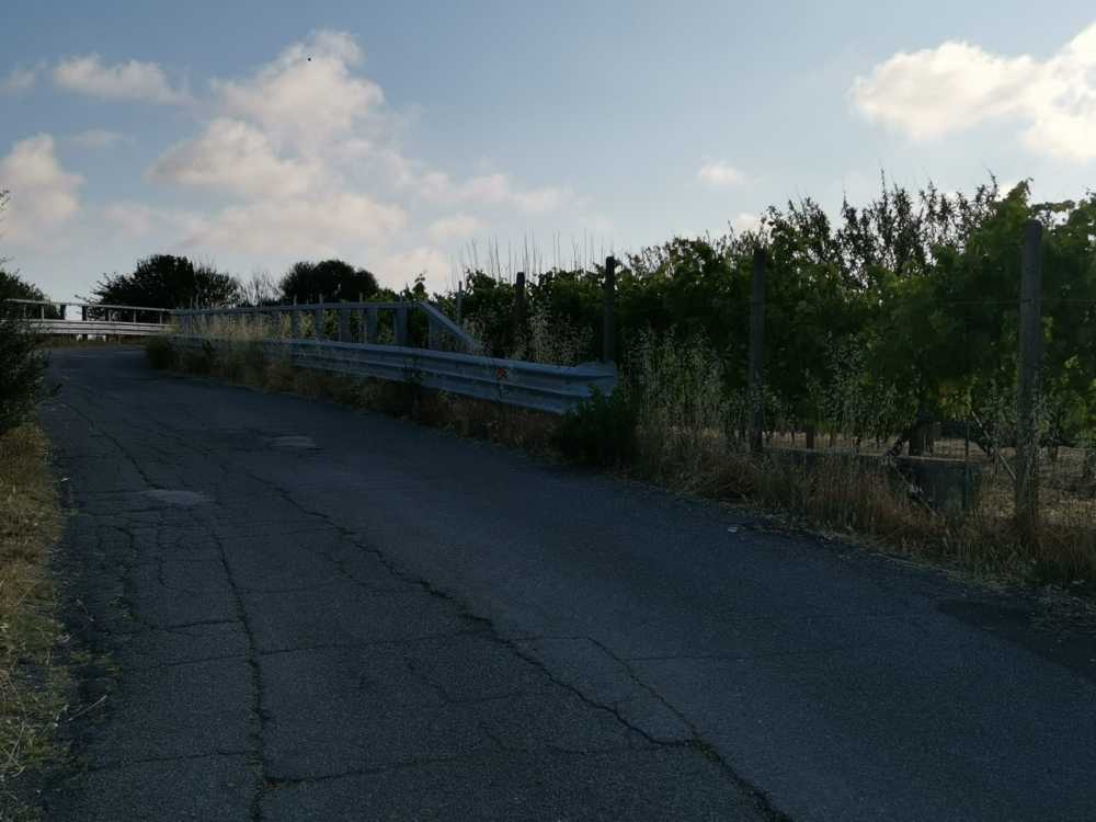 erba alta curva guastatori genio campo oro civitavecchia