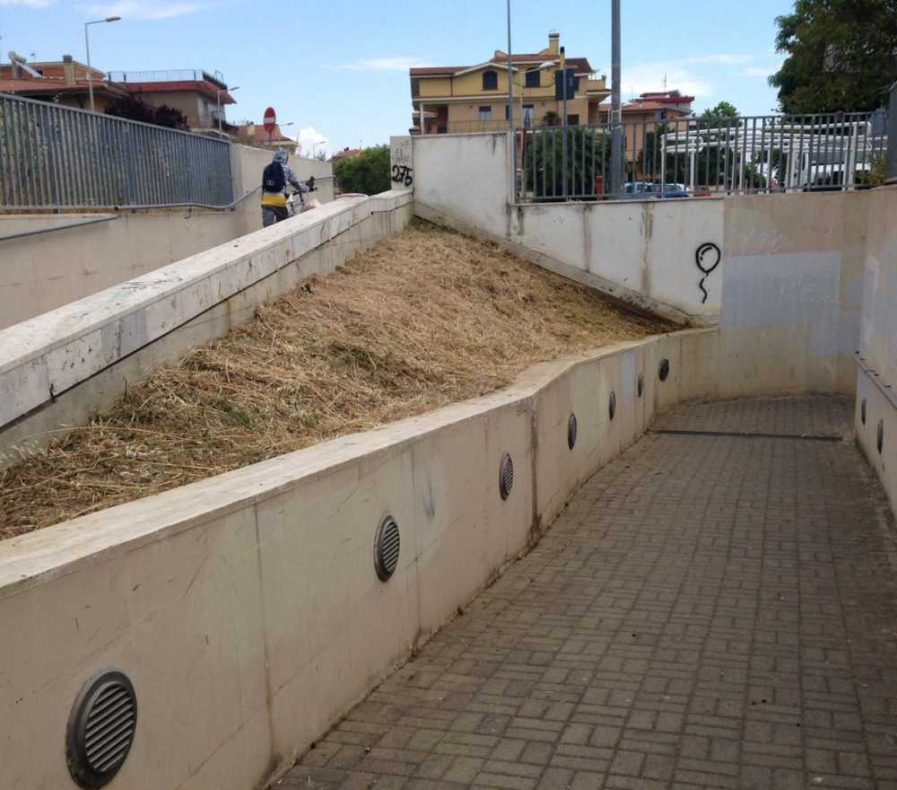 erba tagliata stazione ladispoli