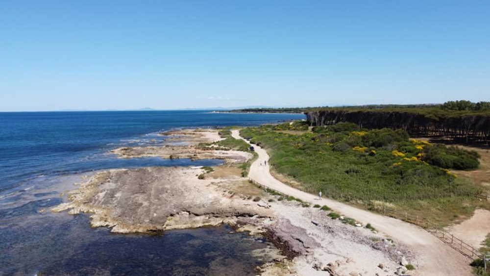 frasca civitavecchia alto 1 frasca civitavecchia alto