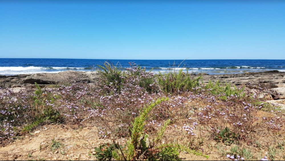 monumento naturale la frasca 220620 monumento naturale la frasca 220620