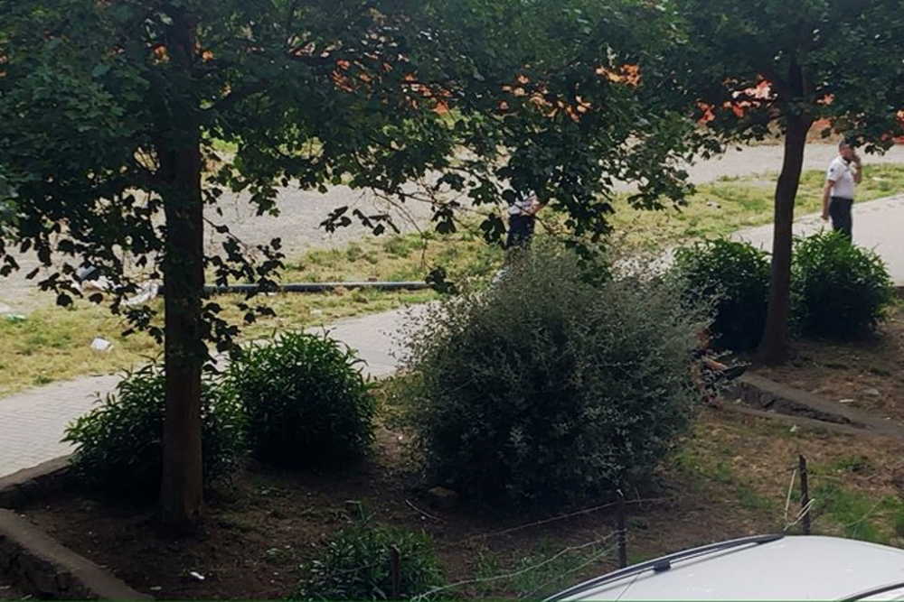 palo-abbattuto-piazza-de-michelis-ladispoli