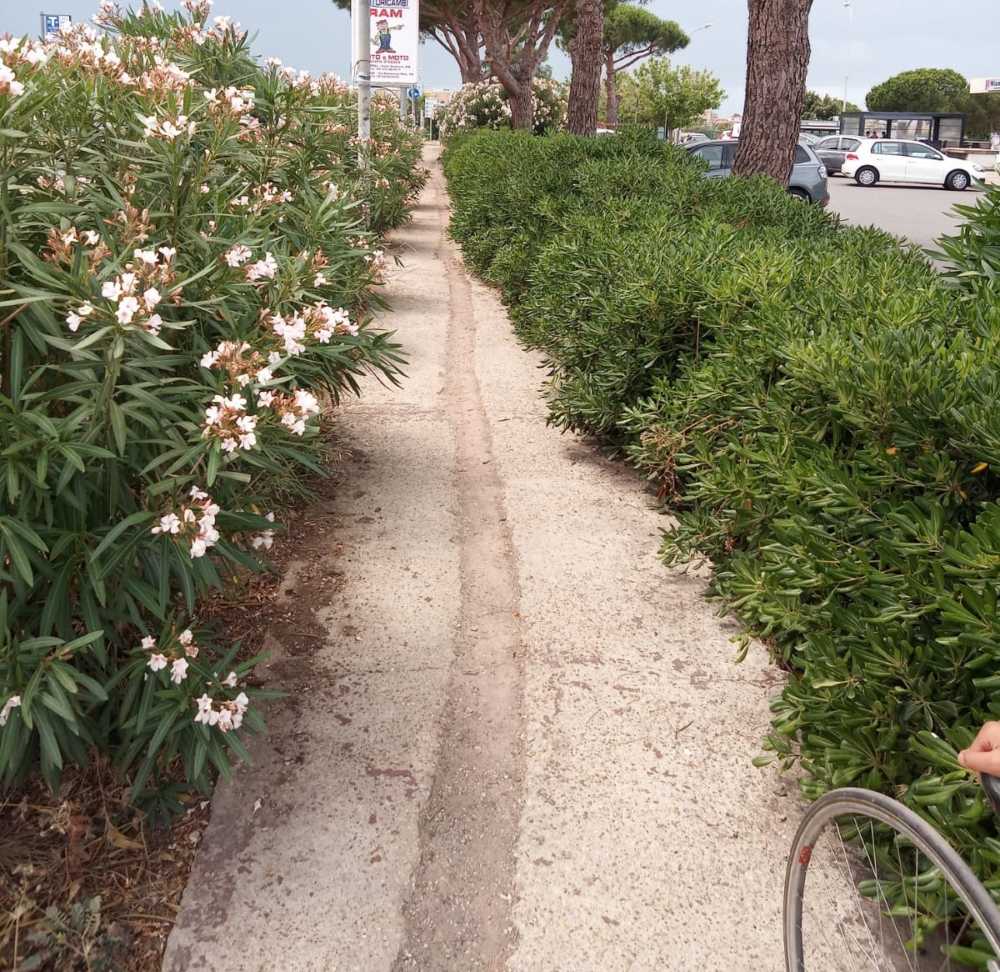 pista ciclabile settevene palo ladispoli (1) pista ciclabile settevene palo ladispoli (1)