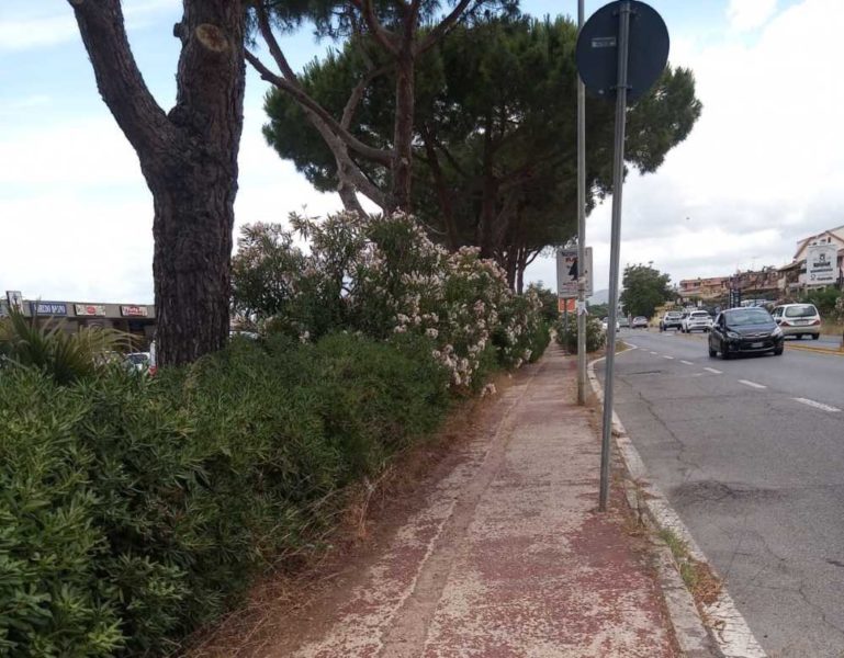 pista ciclabile settevene palo ladispoli (1)