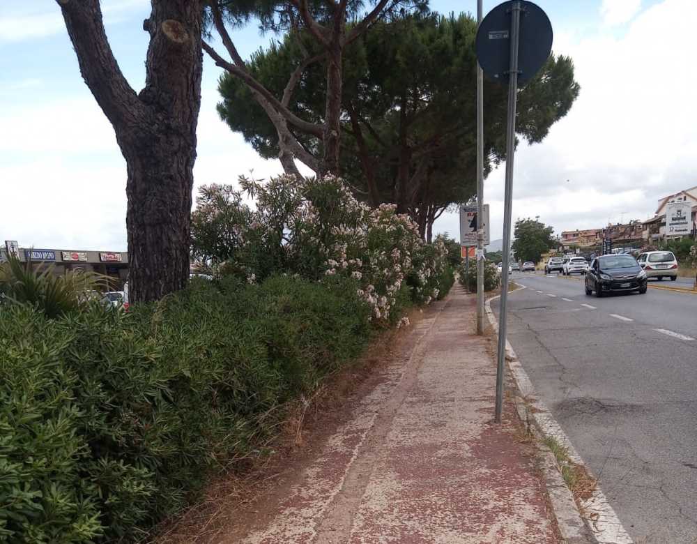 pista ciclabile settevene palo ladispoli (2) pista ciclabile settevene palo ladispoli (1)