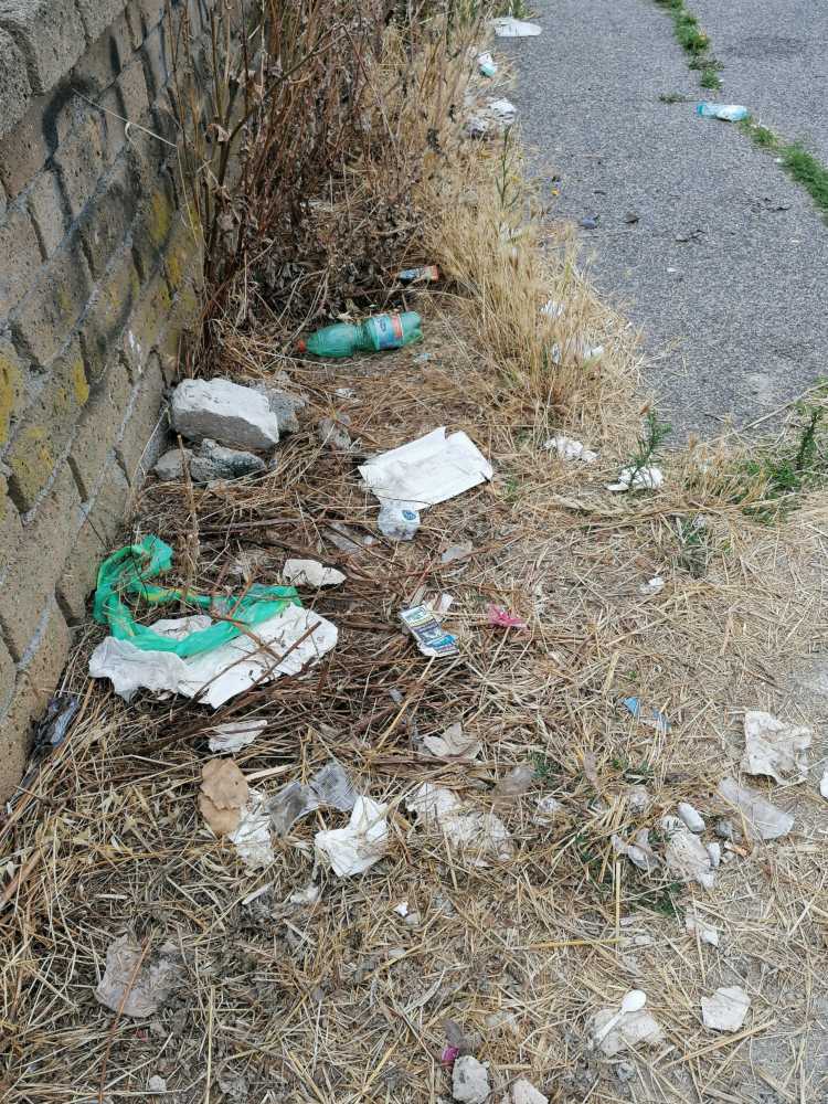 rifiuti via nicosia cerreto ladispoli (1)