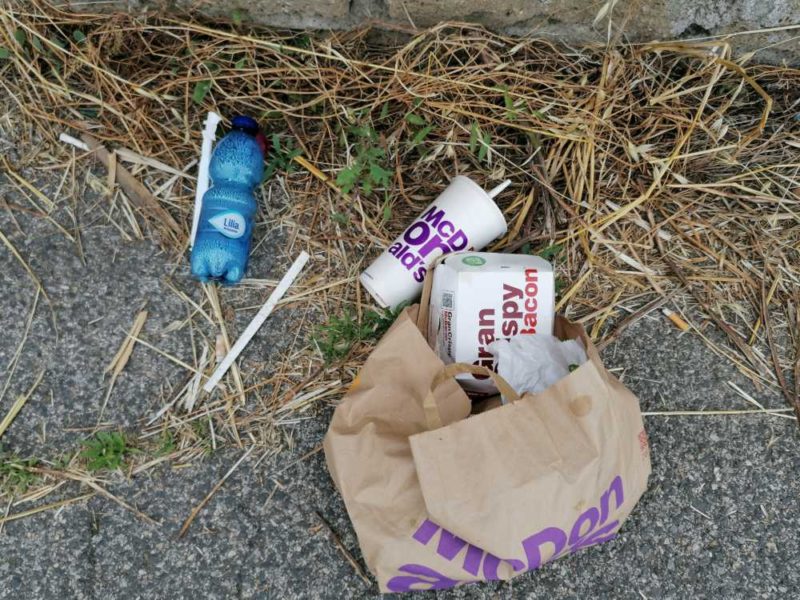 rifiuti via nicosia cerreto ladispoli (1)