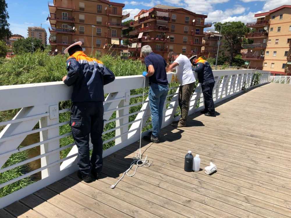 rilievo capitaneria porto ponte sanguinara guardia costiera