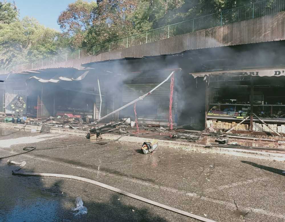 9a41abd8-aaee-4ed9-911c-685eb6c65fb9 9a41abd8-aaee-4ed9-911c-685eb6c65fb9