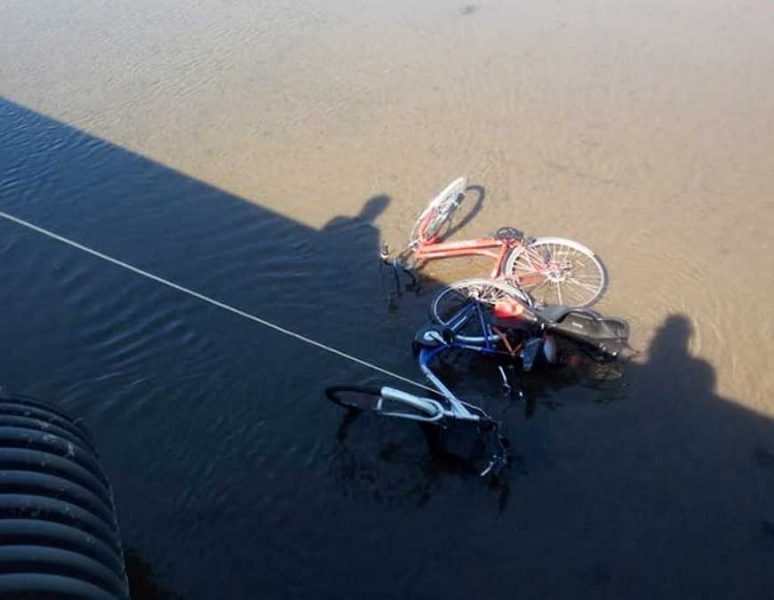 biciclette fosso vaccina ladispoli ecozoofile fare ambiente 4