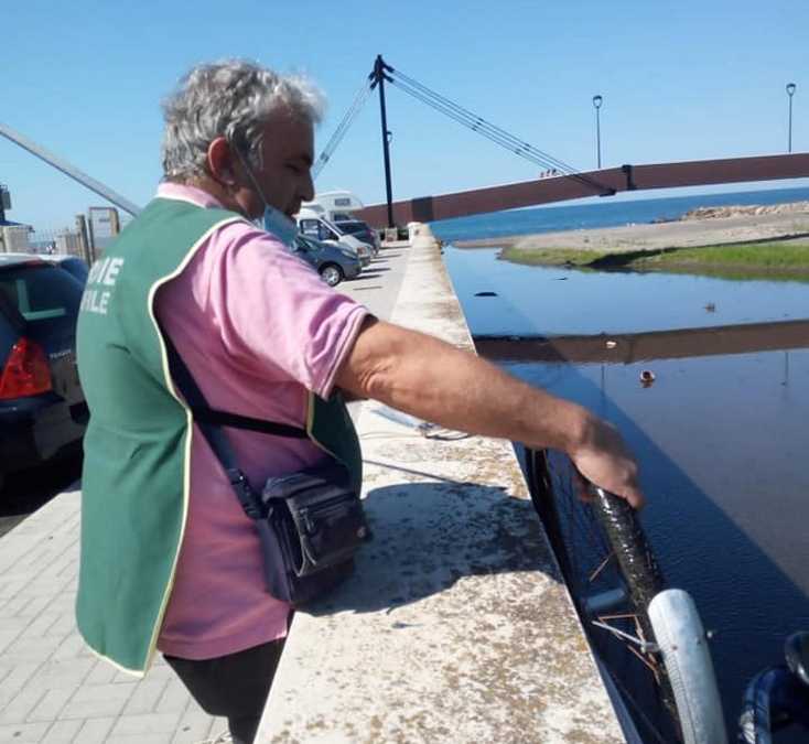 biciclette fosso vaccina ladispoli ecozoofile fare ambiente 4