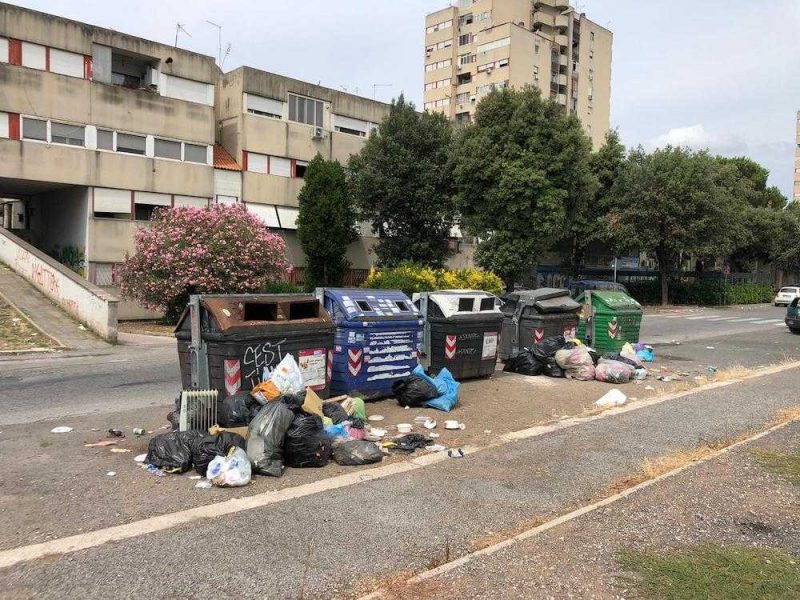 bronx torrevecchia